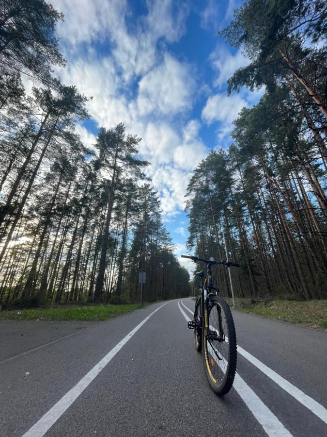 Forest Studio Druskininkai Buitenkant foto