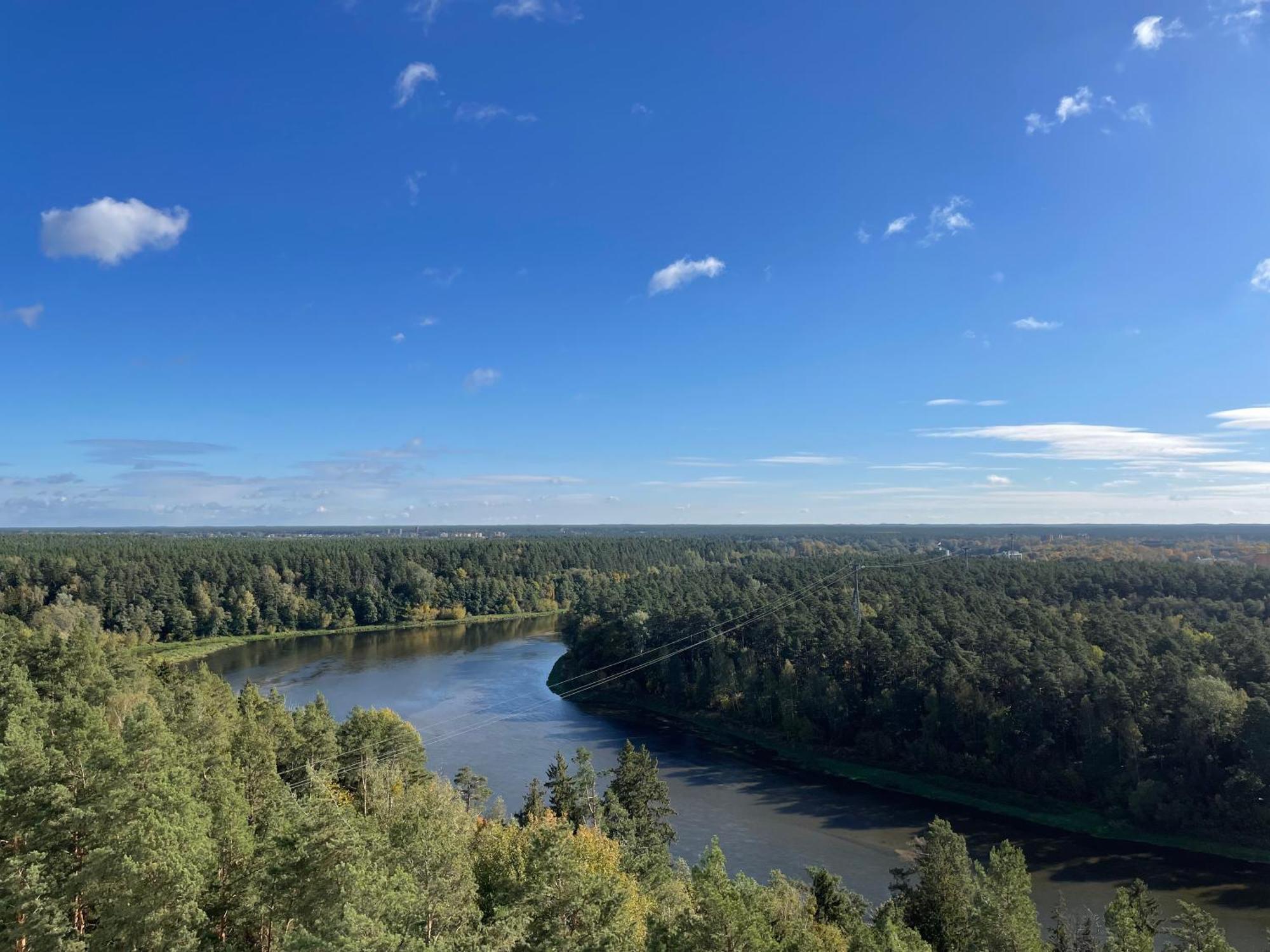 Forest Studio Druskininkai Buitenkant foto